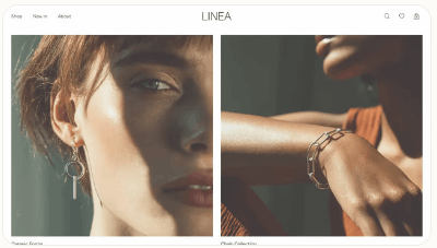 Ecommerce Store Website Template